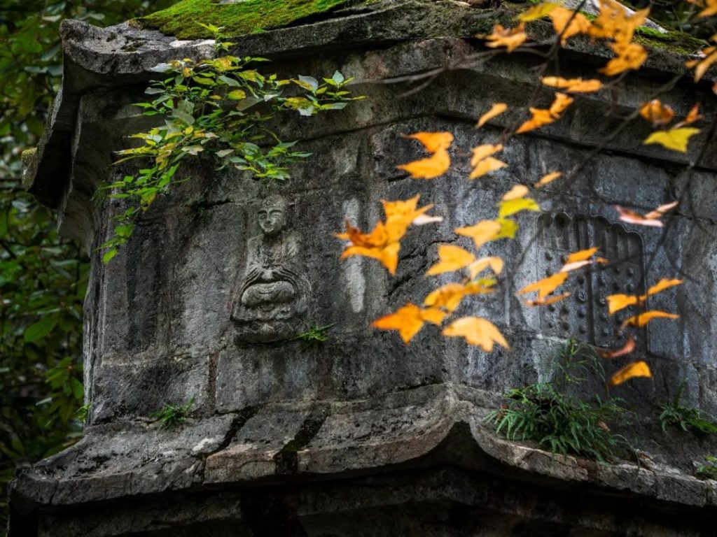 纪念｜腊月十九 南阳慧忠国师圆寂日——独留无缝塔 寒空照明月