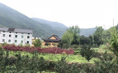 道场巡礼 | 奉化大堰灵峰寺