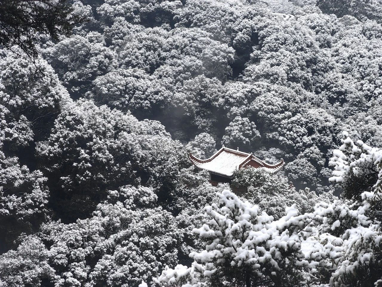 敬颂时绥，顺问冬安 ▍福建宝刹雪景大赏