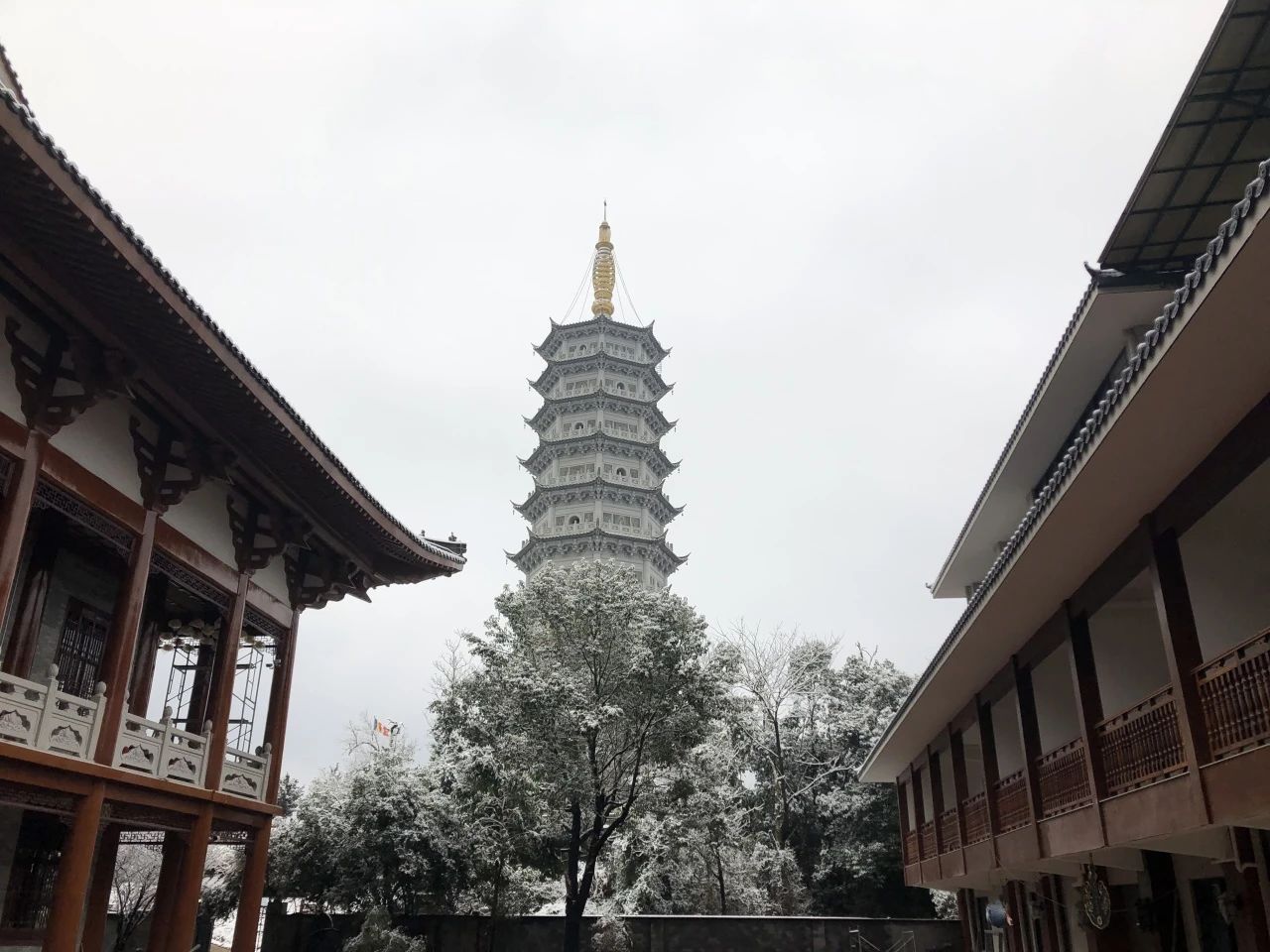 敬颂时绥，顺问冬安 ▍福建宝刹雪景大赏