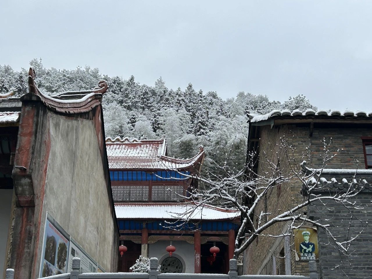 敬颂时绥，顺问冬安 ▍福建宝刹雪景大赏