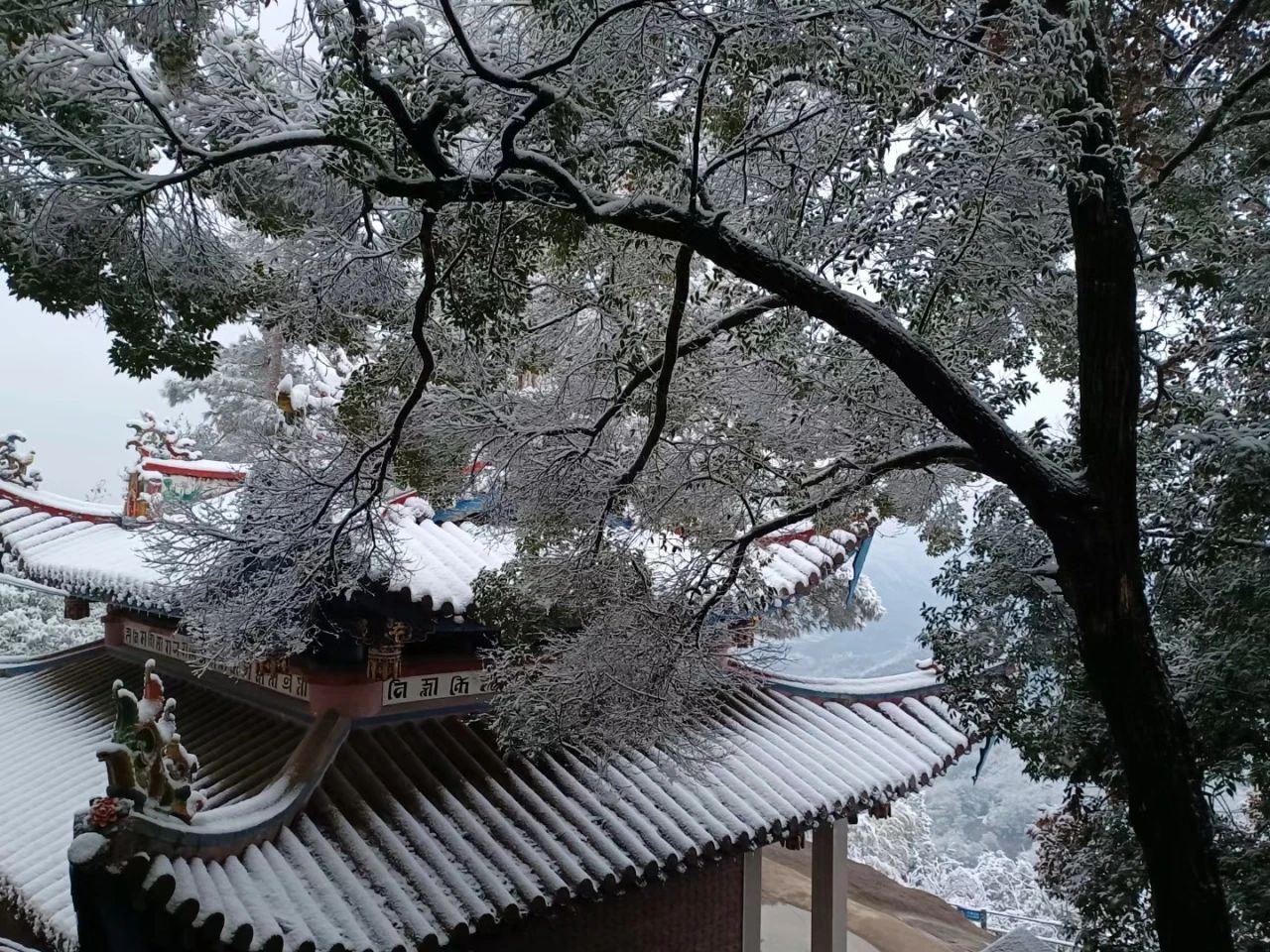 敬颂时绥，顺问冬安 ▍福建宝刹雪景大赏