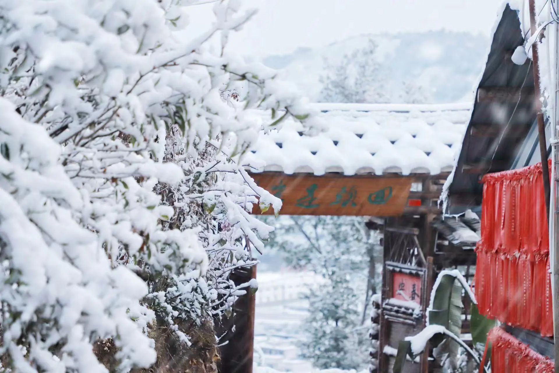 敬颂时绥，顺问冬安 ▍福建宝刹雪景大赏