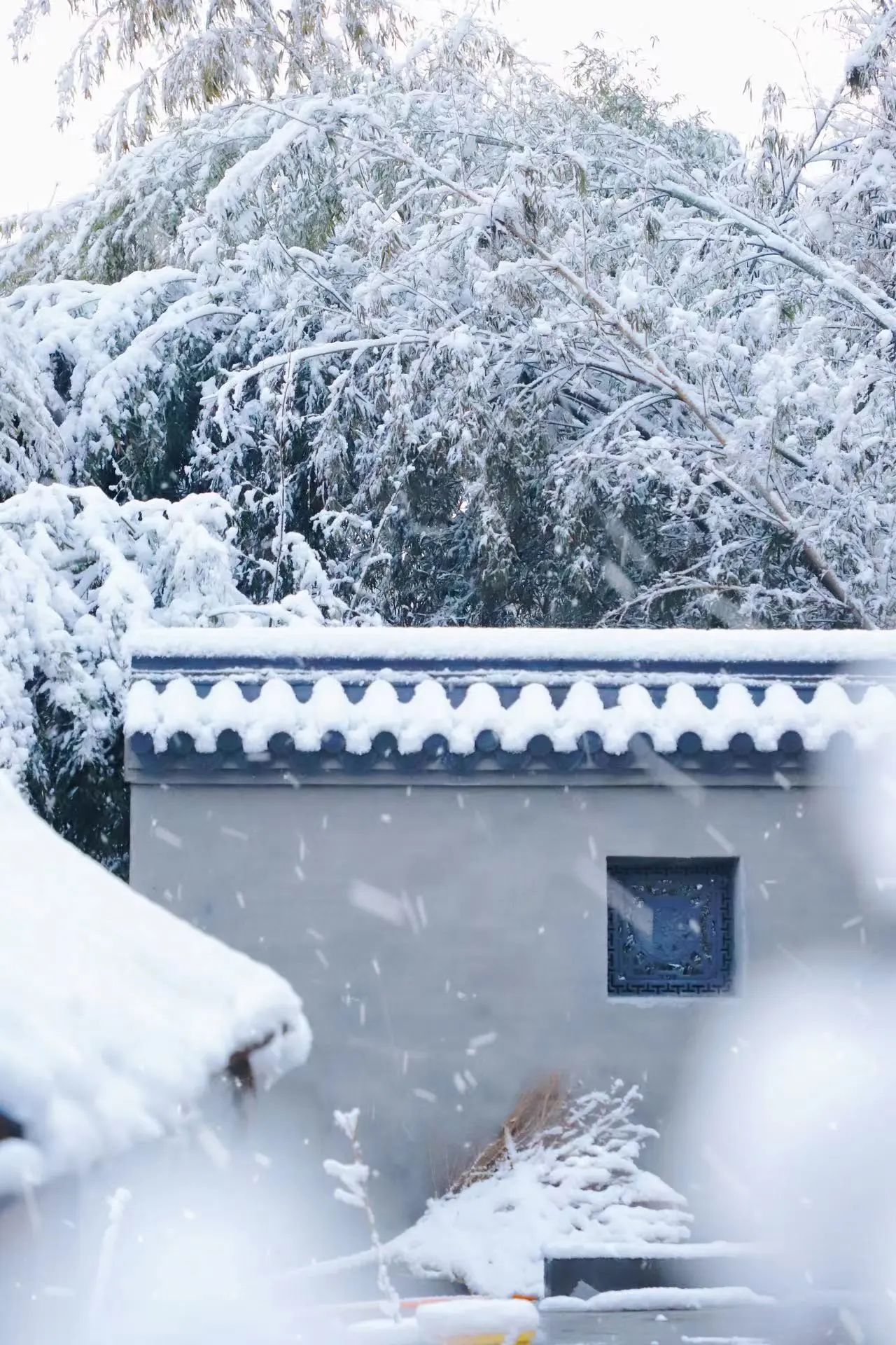 敬颂时绥，顺问冬安 ▍福建宝刹雪景大赏