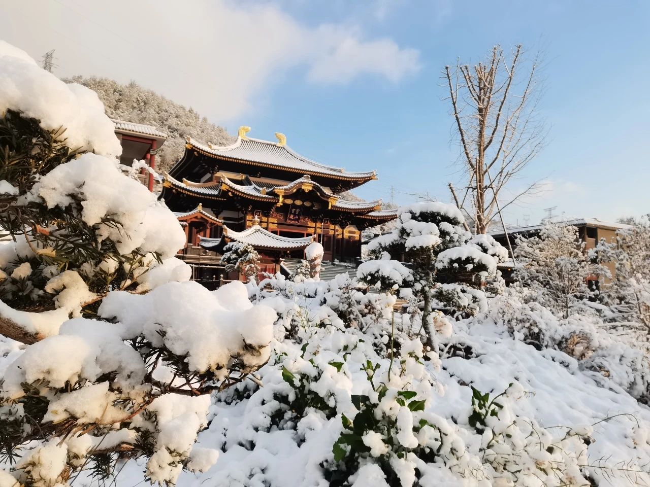 敬颂时绥，顺问冬安 ▍福建宝刹雪景大赏