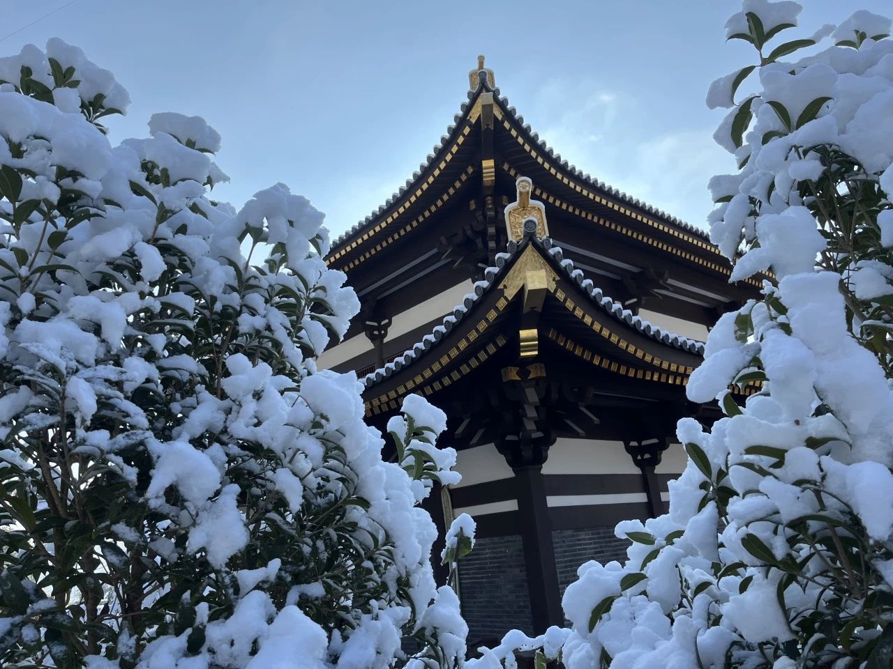 敬颂时绥，顺问冬安 ▍福建宝刹雪景大赏