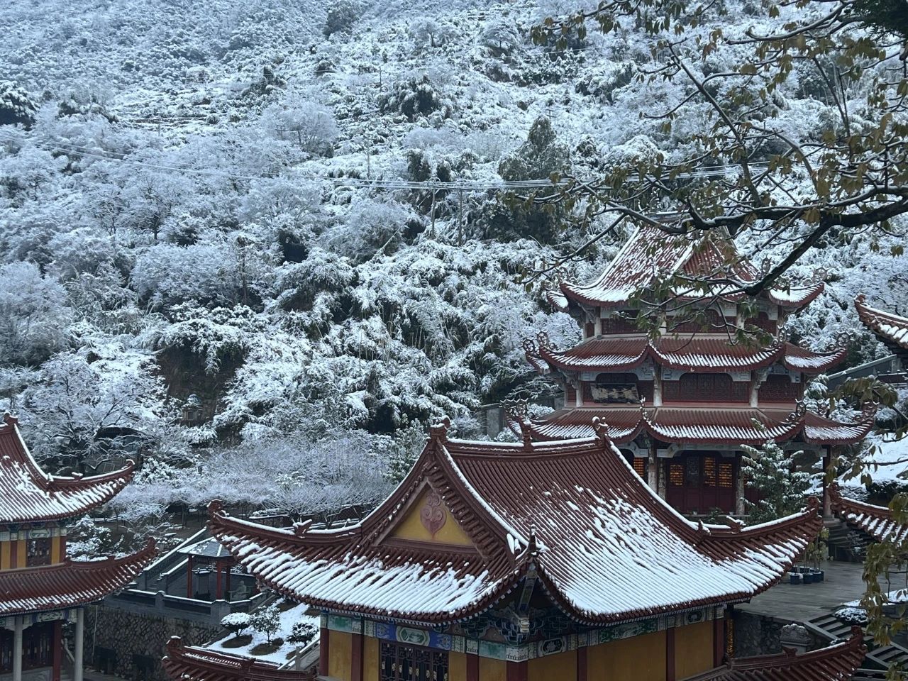 敬颂时绥，顺问冬安 ▍福建宝刹雪景大赏