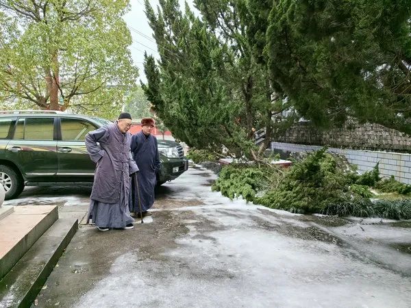 圣辉长老到处在雨夹雪或冻雨恶劣天气中的弱小寺院进行看望慰问