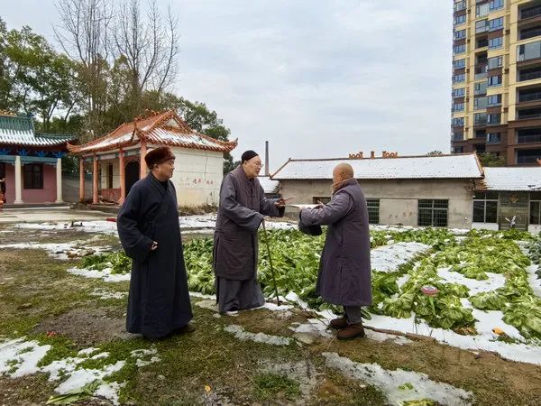 圣辉长老到处在雨夹雪或冻雨恶劣天气中的弱小寺院进行看望慰问