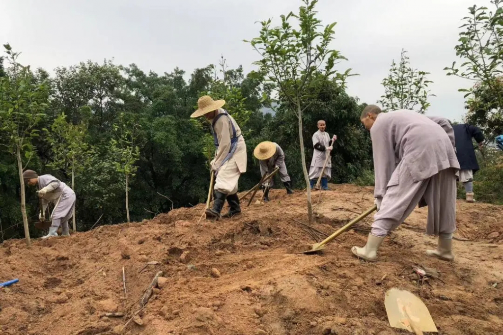 广州佛教界推动绿美生态寺院建设成效明显