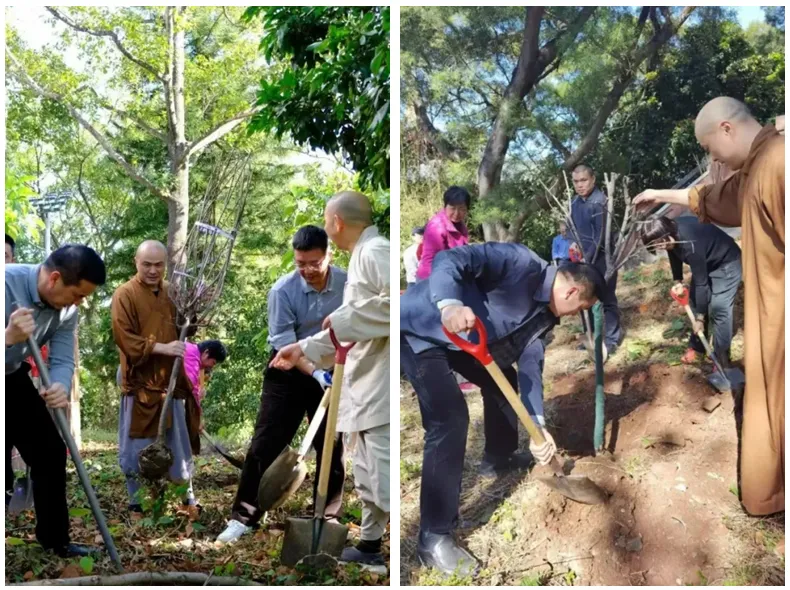 广州佛教界推动绿美生态寺院建设成效明显