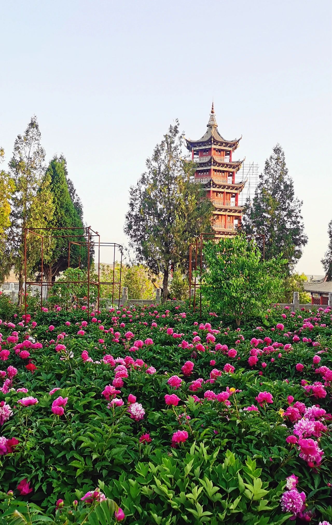 从骑马佩剑到花甲之年，他一生坚守在大西北的寺院里 | 正慈法师行者日志