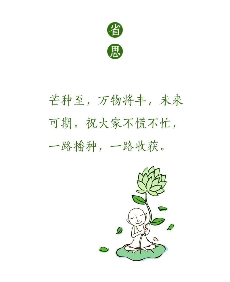 芒种 | 忙而不茫，向往的生活