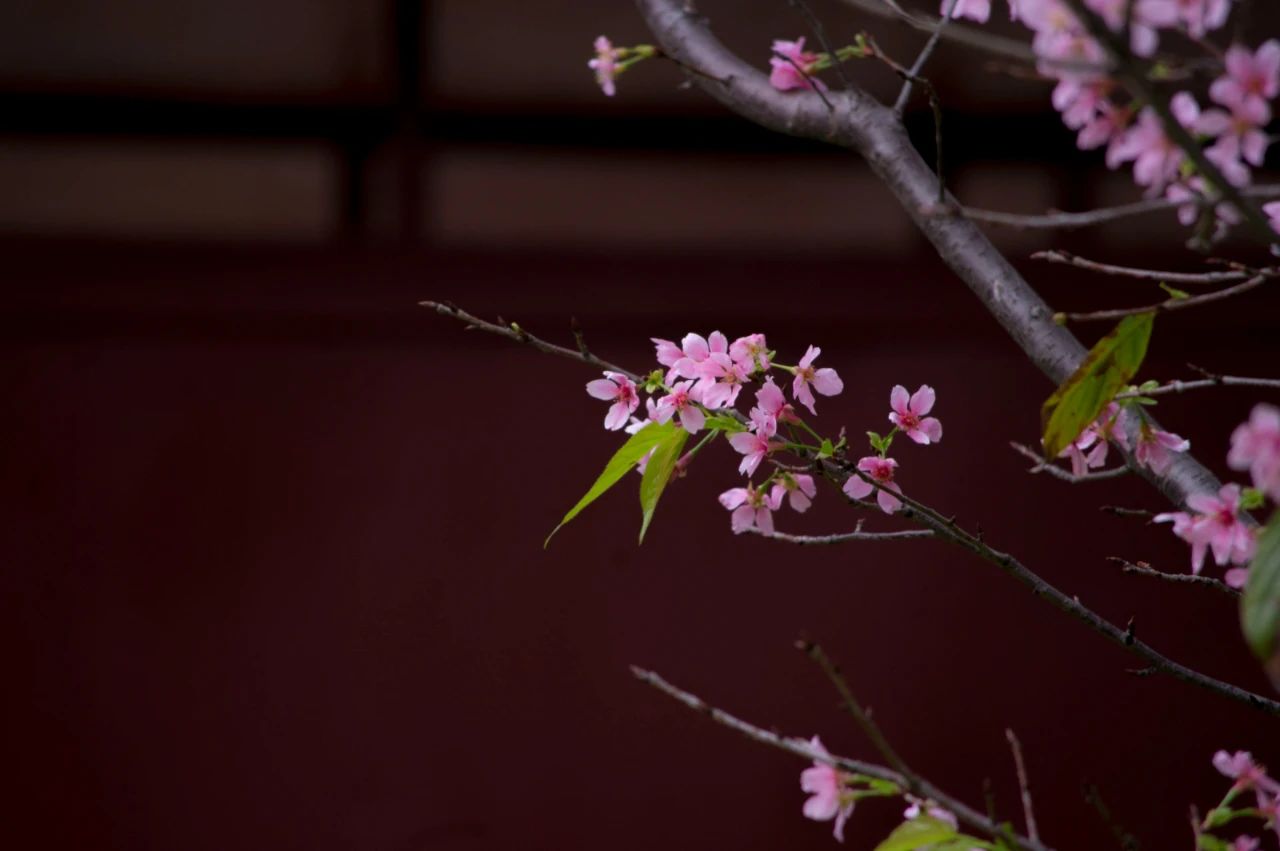 争来争去，只是个空