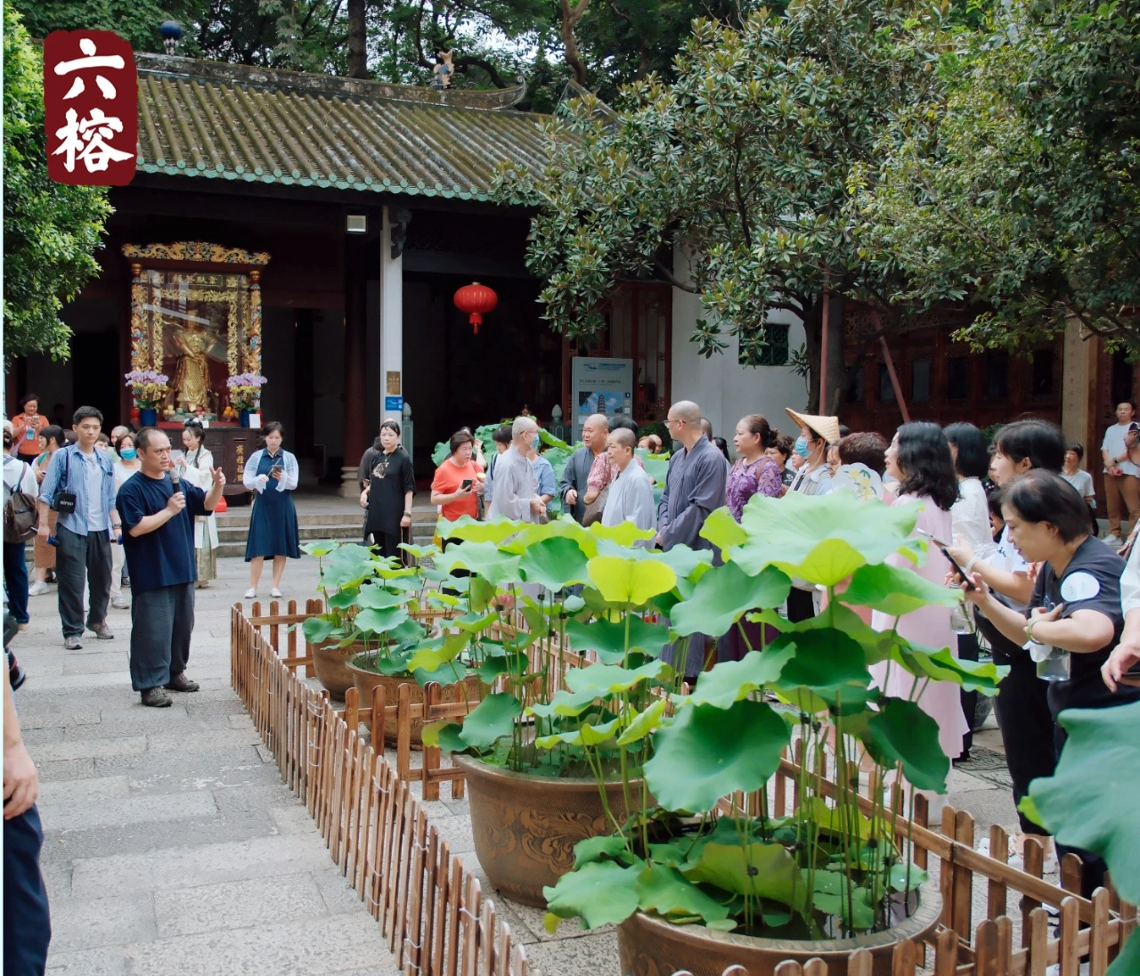 广州六榕寺：宝莲文化节启动仪式暨“莲花清晖，榕园忘归”寺院汉俳展览、游园祈福活动圆满