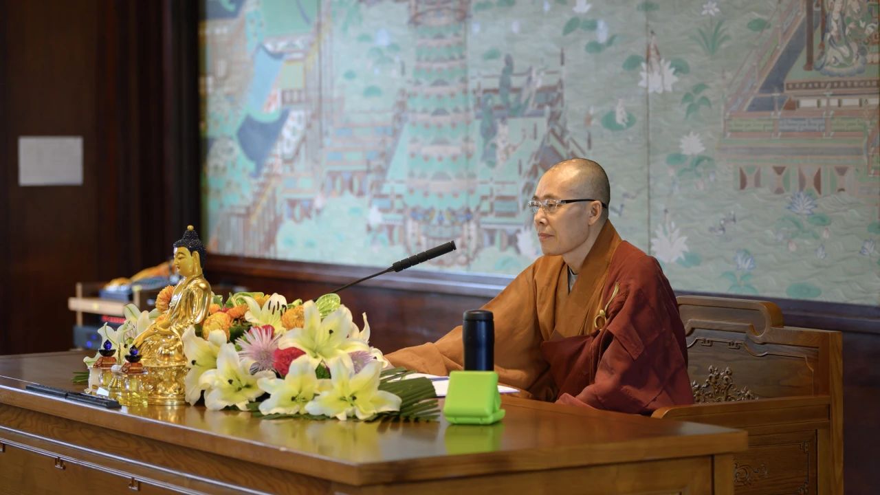 大爱护生，弘传平等慈悲和谐共生的菩萨精神——东林寺救护流浪动物和珍稀动物纪实