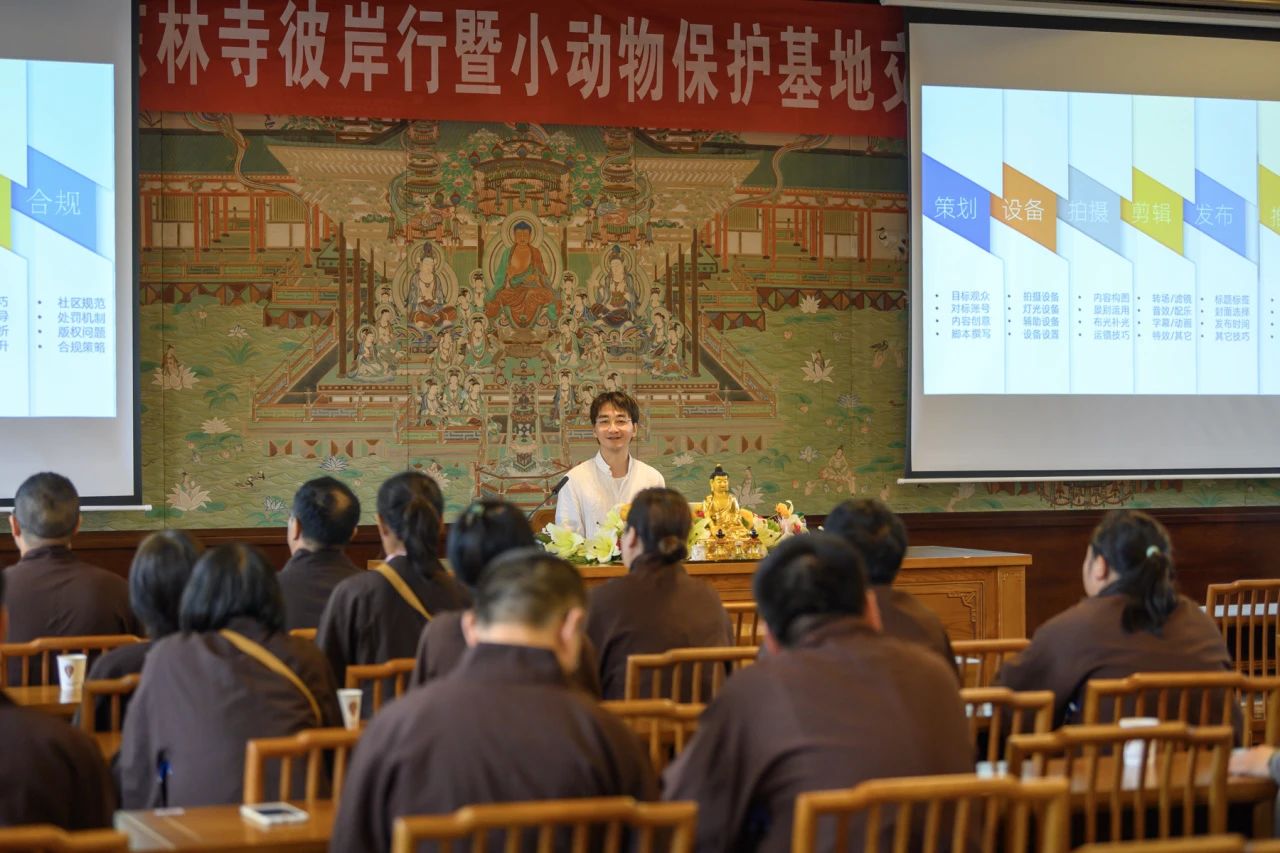 大爱护生，弘传平等慈悲和谐共生的菩萨精神——东林寺救护流浪动物和珍稀动物纪实