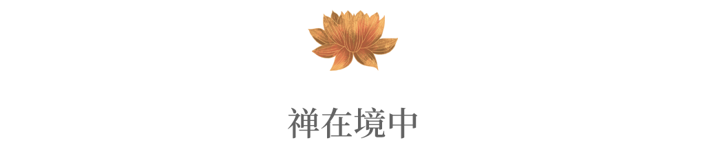 茶中悟禅——十五月光茶会