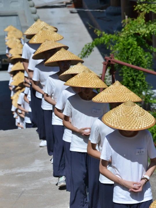 报名｜杭州灵隐寺2024年丛林生活体验