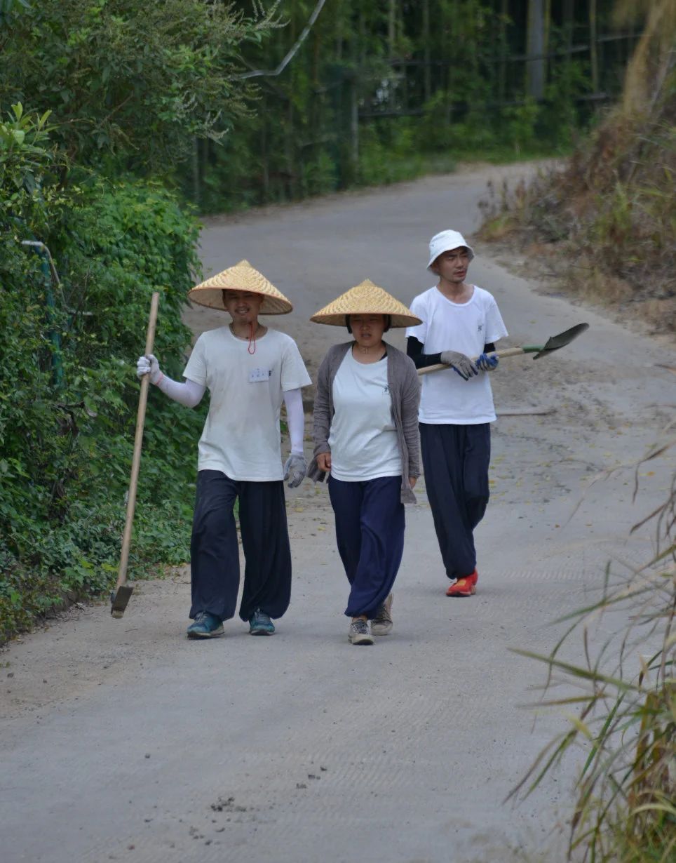 报名｜杭州灵隐寺2024年丛林生活体验