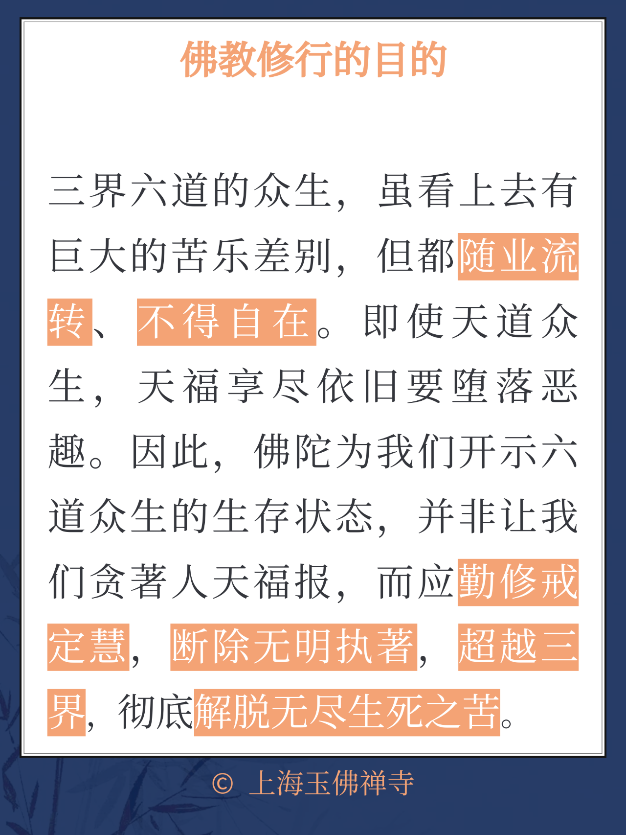 作为三界六道中的一员，你准备如果过自己的人生