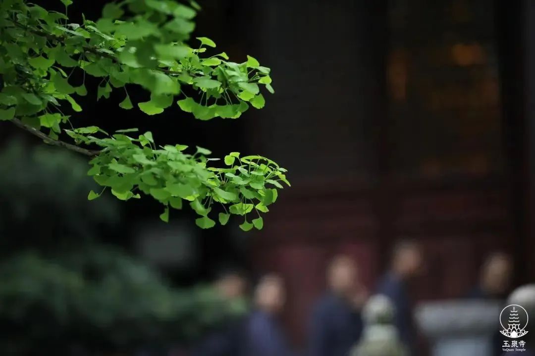 从判教看太虚大师的人生佛教思想