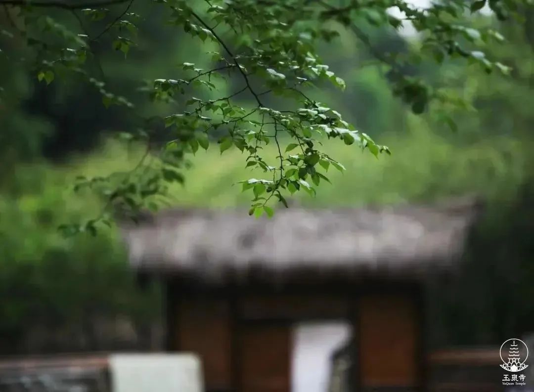 从判教看太虚大师的人生佛教思想