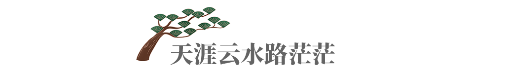 但教群迷登觉岸，敢辞微命入炉汤——近代高僧虚云法师