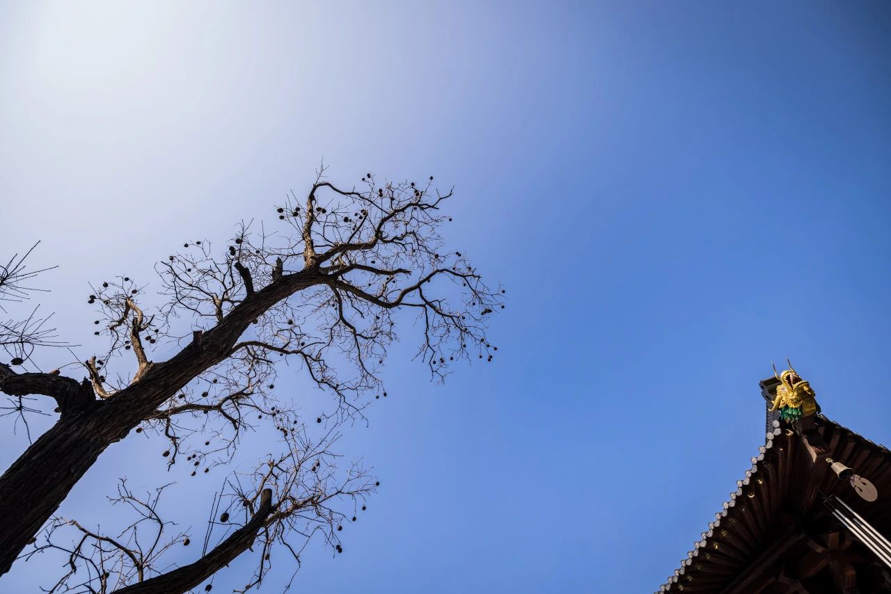 寺院，是依菩提心所建的