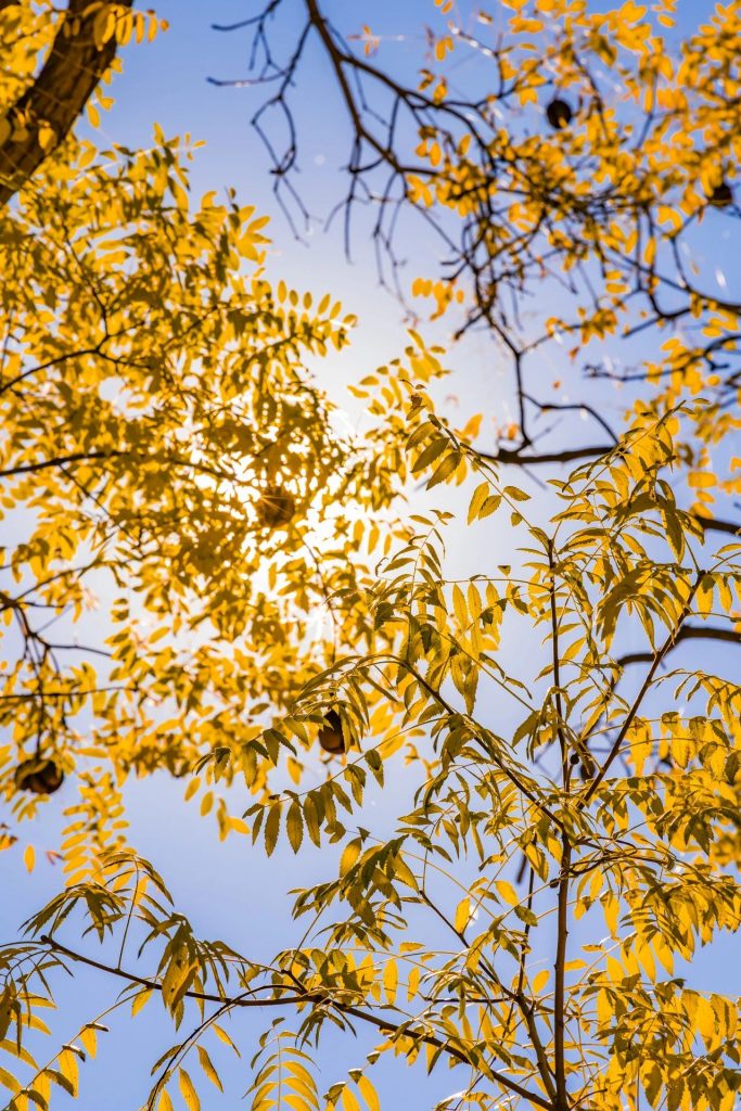 念佛消宿业，更莫造新殃 —— 师父的座右铭