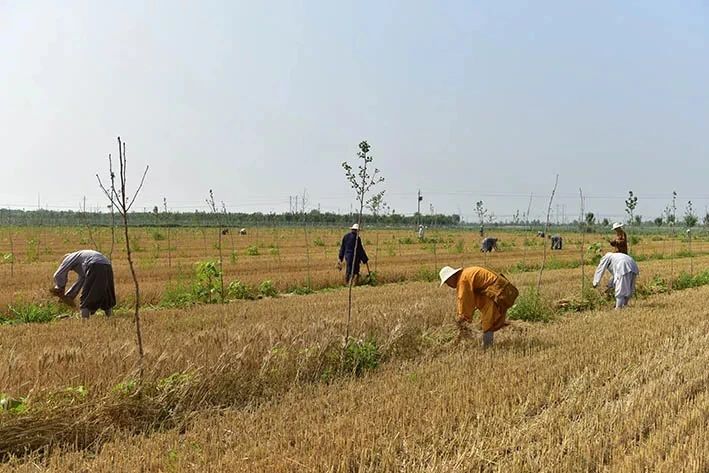 净慧长老：横扫“四气”，坚持佛教的大众化道路