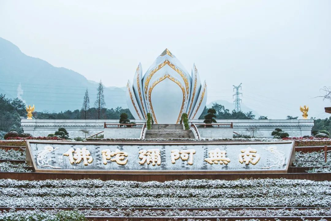 庐山东林寺2024年冬季49日 “ 云端 ” 佛七通告