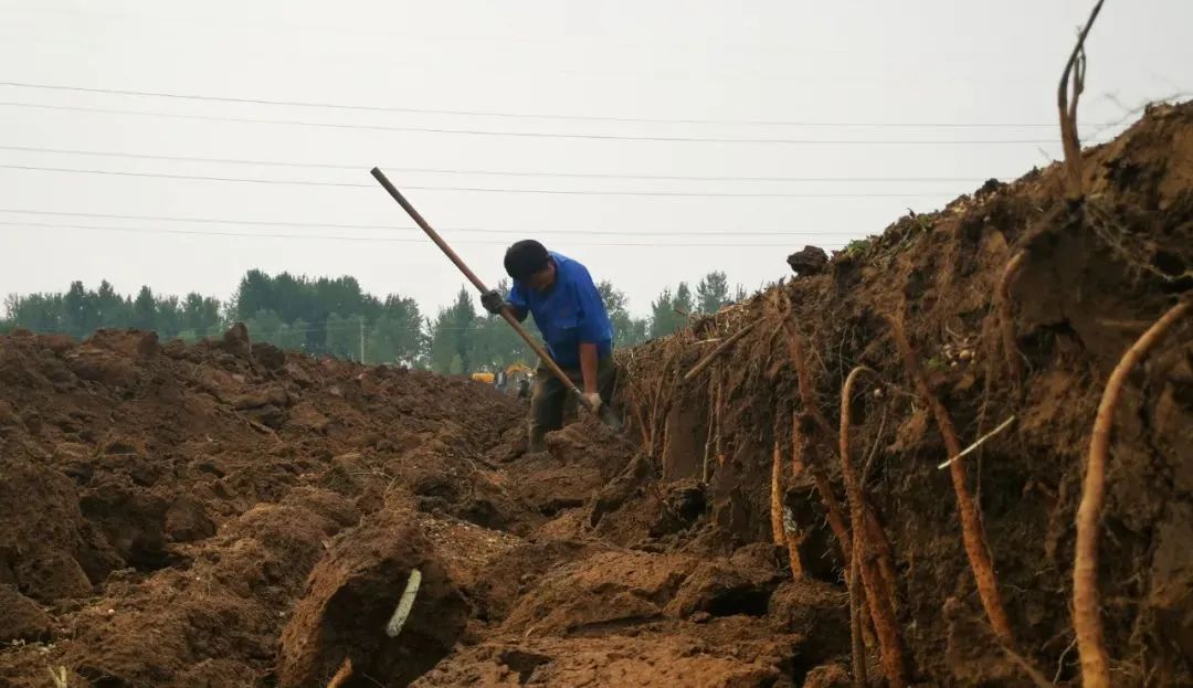 药膳面，每一口都是“胃”你好。老久油酸胃的心头“好面”