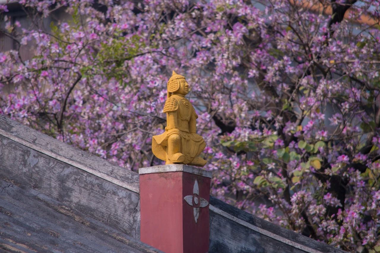 命由己造，成为自己的“护身符”